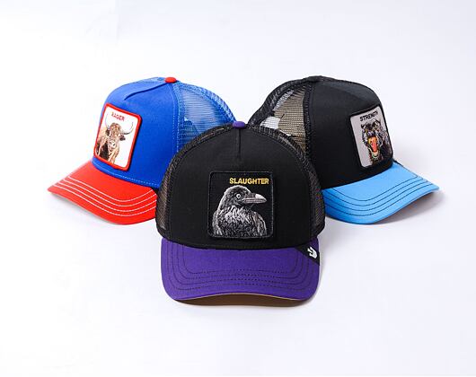 Kšiltovka Goorin - Trucker - Raven Fan - Black