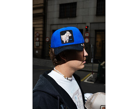 Kšiltovka Goorin - Suede Pitbull