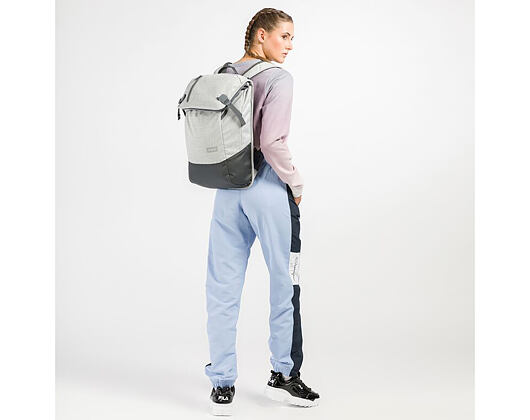Batoh Aevor Daypack Bichrome Steam