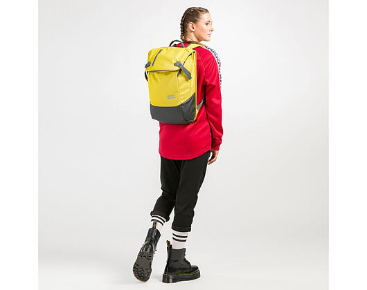Batoh Aevor Daypack Bichrome Sub