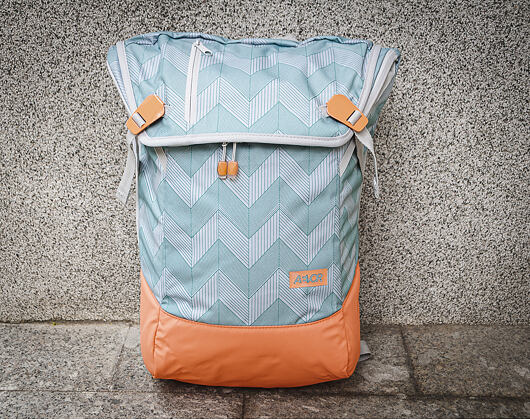 Batoh Aevor Daypack Flicker Mint Coral