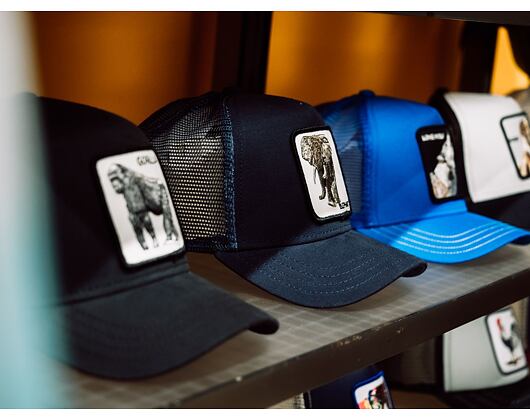 Kšiltovka Goorin - Trucker Elephant - Navy