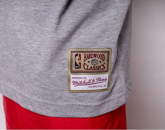 Triko Mitchell & Ness INTL972 Toronto Raptors Vince Carter 15 Grey