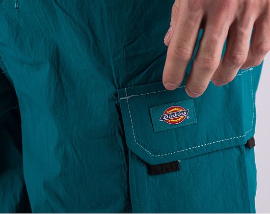 Kraťasy Dickies JACKSON CARGO SHORT DK0A4YACE641