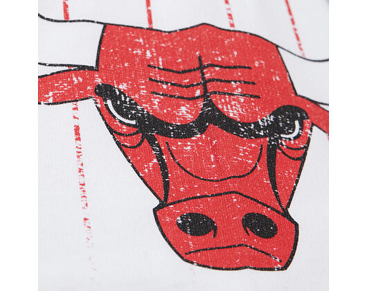 Triko Mitchell & Ness - NBA Playmaker Player Ss Tee Vintage Logo - Chicago Bulls - White