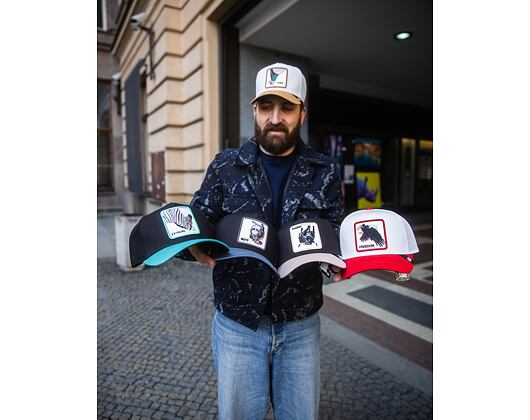 Kšiltovka Goorin - Upside Zebra - Void / Luminous