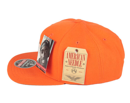 Kšiltovka American Needle Houston Astros Front Logo