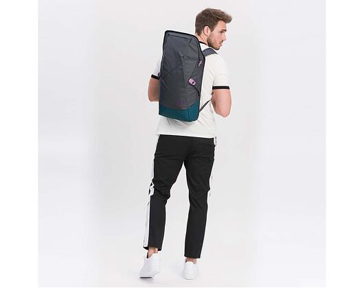 Batoh Aevor Daypack Echo Grape