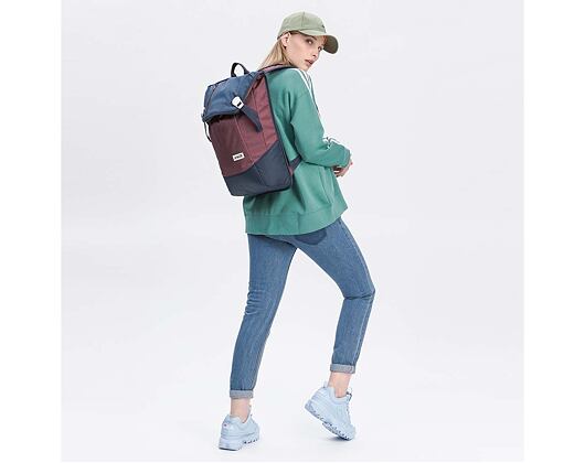 Batoh Aevor Daypack Bichrome Iris