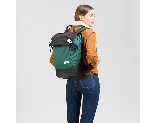 Batoh Aevor Daypack Bichrome Swamp