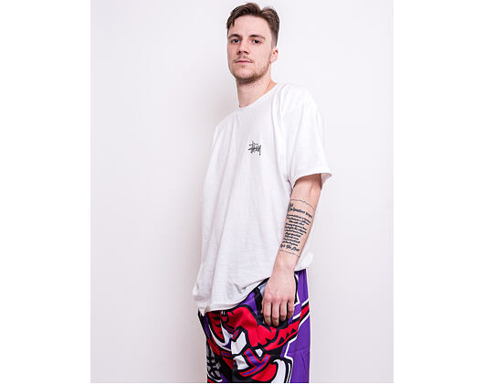 Kraťasy Mitchell & Ness Toronto Raptors Big Face