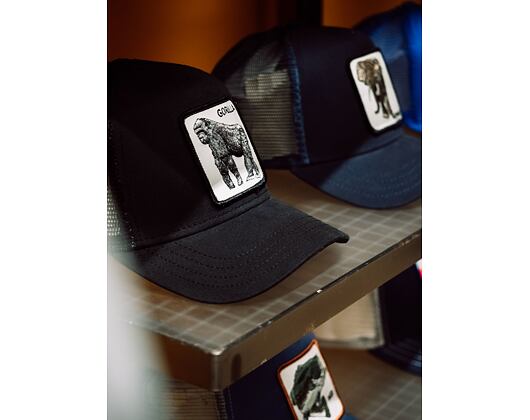 Kšiltovka Goorin - Trucker King Of The Jungle - Black