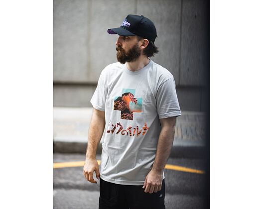 Triko Pink Dolphin Tsunami Promo Tee US22111TSSL Silver