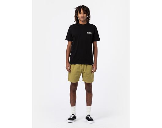 Kraťasy Dickies Pelican Rapids Olive Lanzones