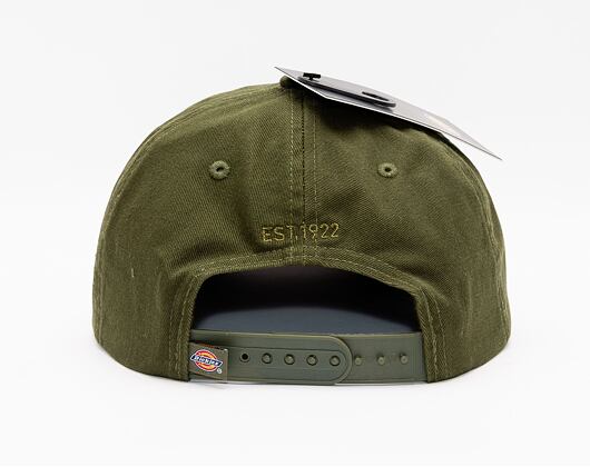 Kšiltovka Dickies 6 Panel Logo Cap MGR