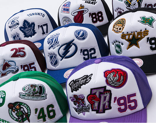 Kšiltovka Mitchell & Ness - Gridlock Trucker Hwc - Toronto Raptors - White