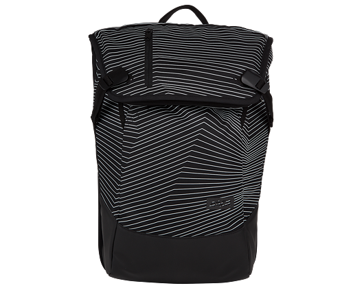 Batoh Aevor Daypack Fineline Black