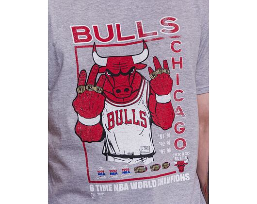 Triko Mitchell & Ness Last Dance 6x Champs Tee 3 Chicago Bulls Grey