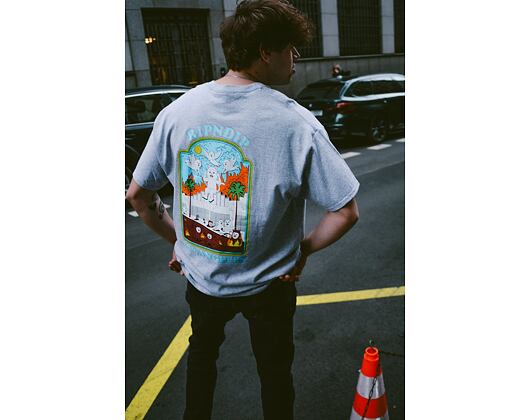 Triko RIP N DIP Heaven On Earth Tee Ash Natural