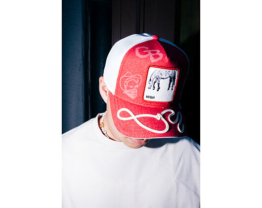 Kšiltovka Goorin - Way Up Trucker