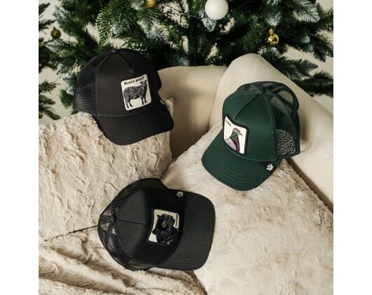 Kšiltovka Goorin - The Homie Pigeon