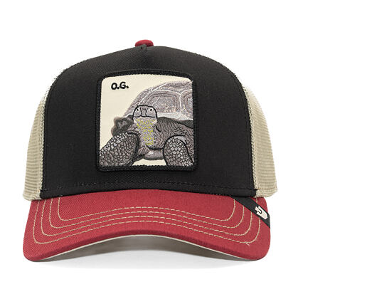 Kšiltovka Goorin - Tricolor Tortiouse - Multi Color