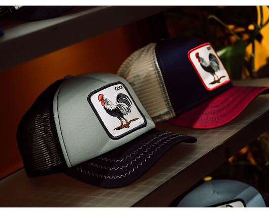 Kšiltovka Goorin - Trucker Checkin Traps - Grey