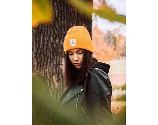 Kulich Upfront Stranded Beanie Yellow