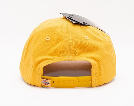 Kšiltovka Dickies 6 Panel Logo Cap C96