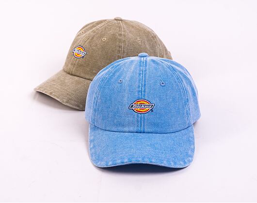 Kšiltovka Dickies HARDWICK DUCK CANVAS DK0A4Y9IF291