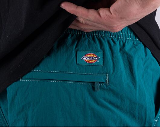 Kraťasy Dickies JACKSON CARGO SHORT DK0A4YACE641