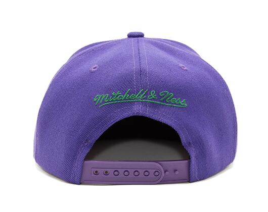 Kšiltovka Mitchell & Ness NBA Paint By Number Snapback HWC Bucks Purple