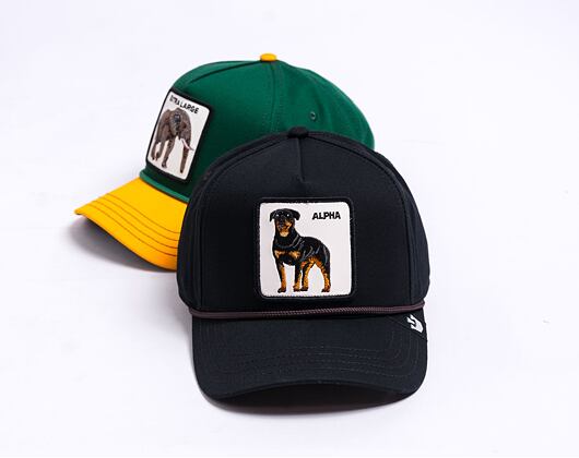 Kšiltovka Goorin - Alpha Dog 100 A-Frame - Black