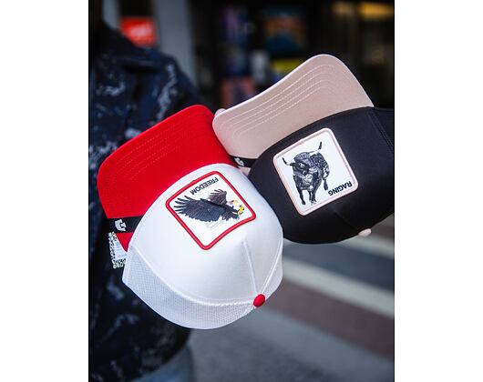 Kšiltovka Goorin - Upside Pigeon - Dust / Heat