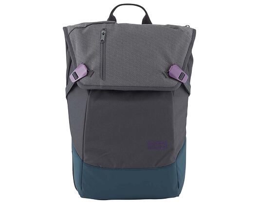 Batoh Aevor Daypack Echo Grape