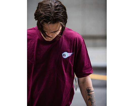 Triko Pink Dolphin Legendary Logos Tee US22111LLCU Maroon