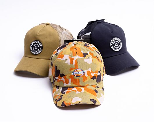 Kšiltovka Dickies Artonodale Cap Camo