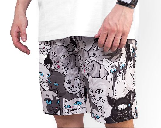 Kraťasy RIP N DIP Family Tree Swim Shorts Black