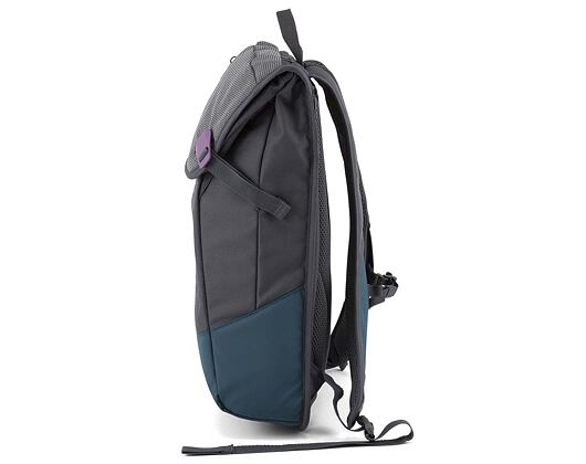 Batoh Aevor Daypack Echo Grape