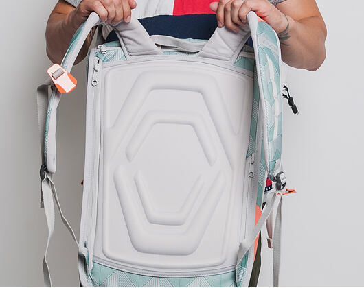 Batoh Aevor Daypack Flicker Mint Coral