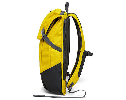 Batoh Aevor Daypack Bichrome Sub