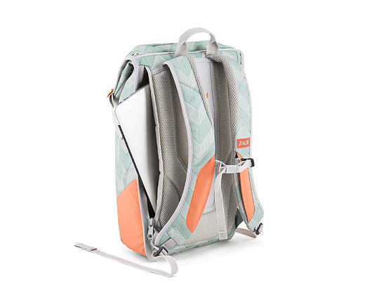 Batoh Aevor Daypack Flicker Mint Coral