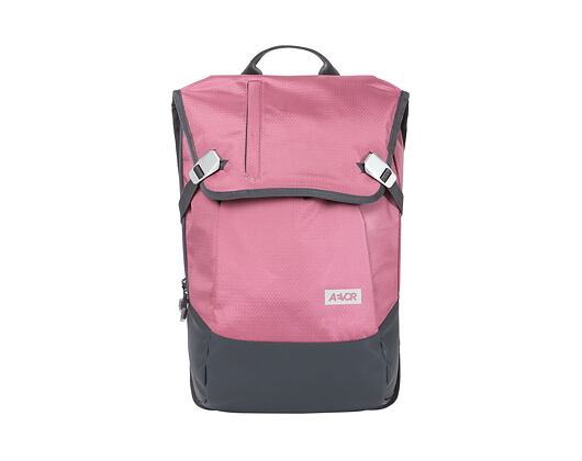 Batoh Aevor Daypack Proof Cassis