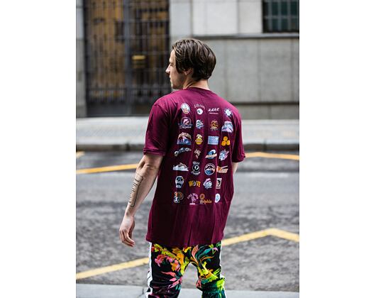 Triko Pink Dolphin Legendary Logos Tee US22111LLCU Maroon