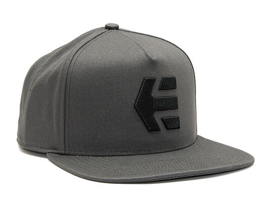 Kšiltovka Etnies Icon Snapback Grey / Black