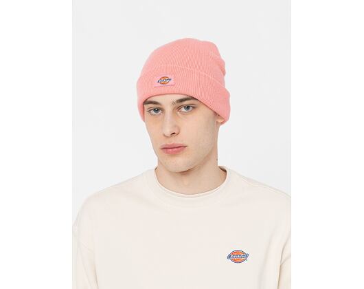 Kulich Dickies Gibsland Beanie Flamingo Plume