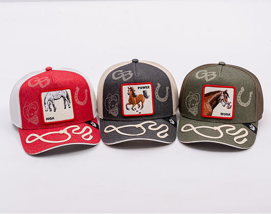 Kšiltovka Goorin - Way Up Trucker