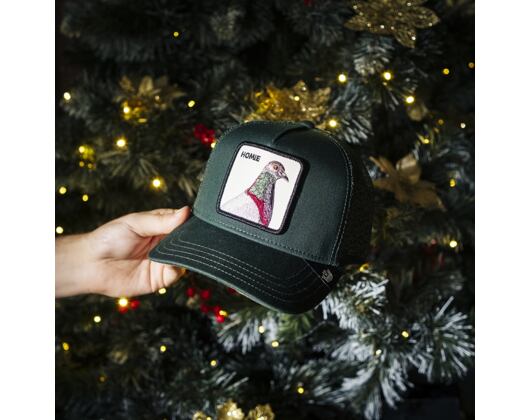 Kšiltovka Goorin - The Homie Pigeon