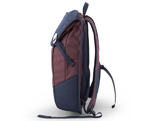 Batoh Aevor Daypack Bichrome Iris