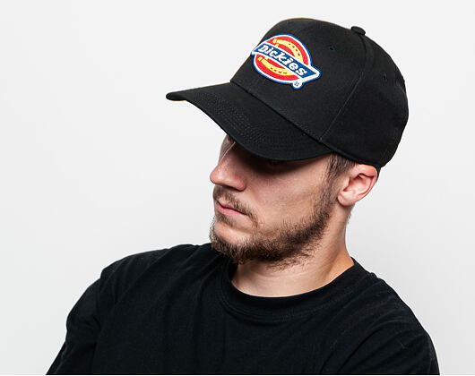 Kšiltovka Dickies Muldoon Black 08-440031